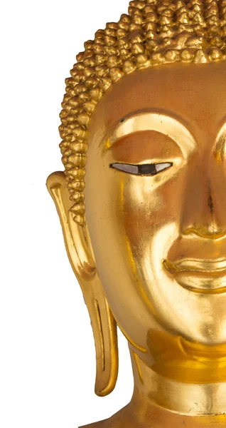 Half the face closeup buddha statue on white background — Stock Photo, Image