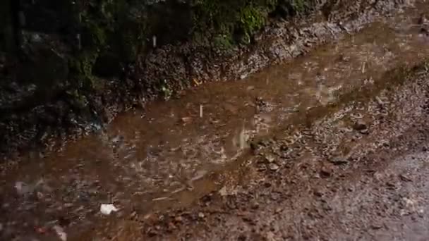 Проливной Дождь Впитывающий Землю Саду Грязная Почва Мокрая Дождя Сезон — стоковое видео