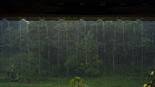 Erős Esővíz Ház Verandáján Leesett Eső Házak Tetejéről Benedvesítette Udvart — Stock videók