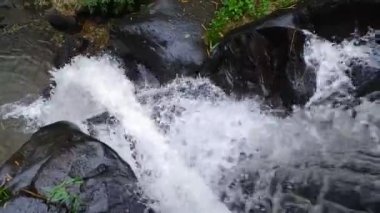 akan nehir suyu siyah kayaların arasından akar. Akan suyun sesiyle rahatlamak için taze doğa kavramı. Çöpsüz temiz nehir ve lağım gübresi