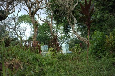 Geleneksel Endonezya mezarlarında mezar taşları. Otların ve otların arasında bir mezar. Kırsal Java adasındaki ürkütücü atmosfer