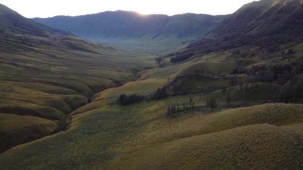 Beautiful View Jemplang Meadow Mount Bromo National Park Indonesia Aerial — Stock Video