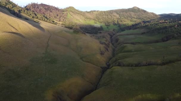 Beautiful View Jemplang Meadow Mount Bromo National Park Indonesia Aerial — Stock Video