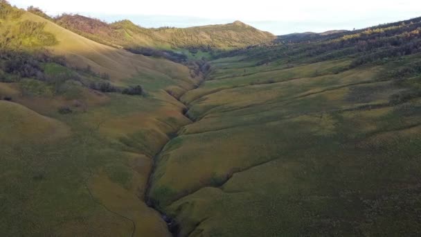 Beautiful View Jemplang Meadow Mount Bromo National Park Indonesia Aerial — Stock Video