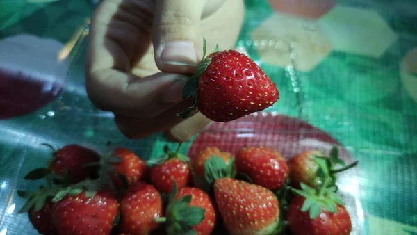 Een Verzameling Verse Rode Aardbeien Een Plastic Recipiënt Die Klaar — Stockfoto