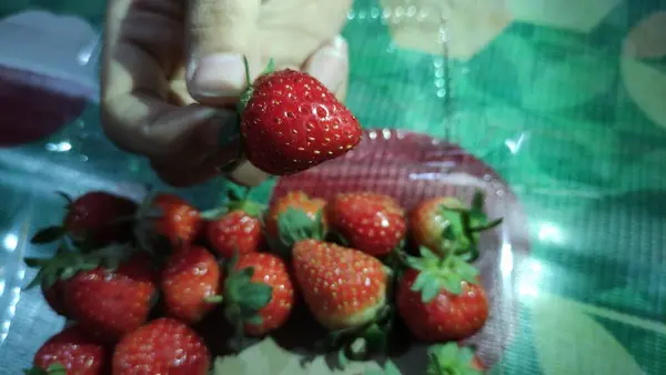 Uma Coleção Morangos Vermelhos Frescos Recipiente Plástico Pronto Para Comer — Fotografia de Stock