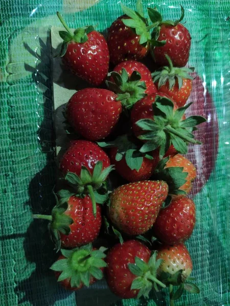 Eine Sammlung Frischer Roter Erdbeeren Einem Plastikbehälter Fertig Zum Verzehr — Stockfoto