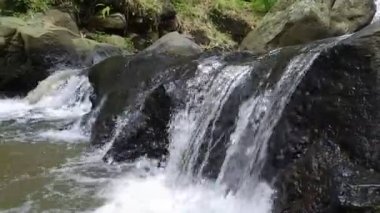 akan nehir suyu siyah kayaların arasından akar. Akan suyun sesiyle rahatlamak için taze doğa kavramı. Çöpsüz temiz nehir ve lağım gübresi