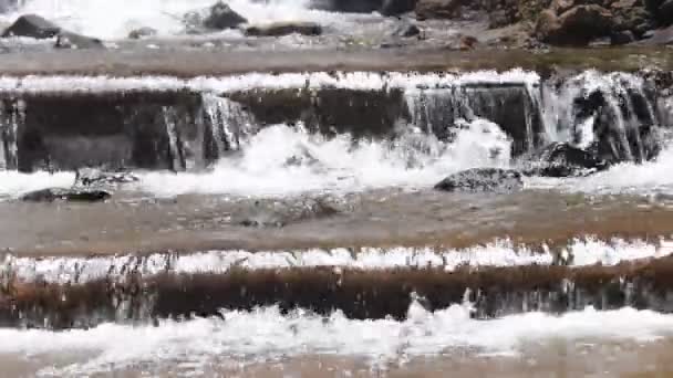 Ноги Мужчины Ходят Наслаждаясь Пресной Речной Водой Путешествовать Горам Насладиться — стоковое видео