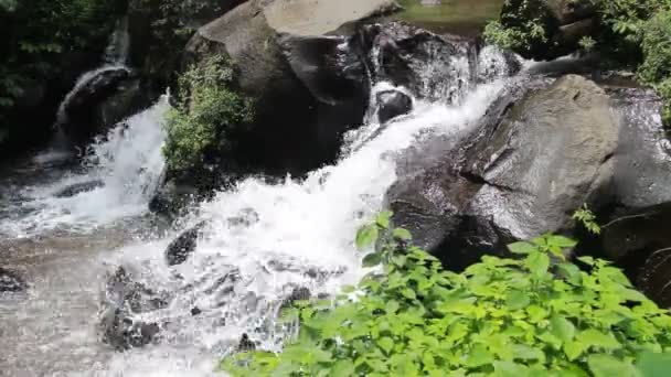 Бегущая Речная Вода Течет Через Черные Скалы Свежая Концепция Природы — стоковое видео