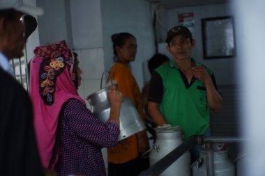 Pasuruan, Endonezya. Ağustos 2021 'de çalışanların ve sakinlerin faaliyetleri süt dağıtım şirketinde inek sütü ayıklıyor. Süt çiftçilerinin İskoç geleneği.