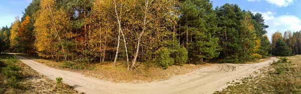 Straße Durch Den Herbstlichen Wald Einem Schönen Sonnigen Tag — Stockfoto