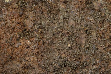 kırmızı kumtaşı kayalıkları makro fotoğraf .textura veya arkaplan
