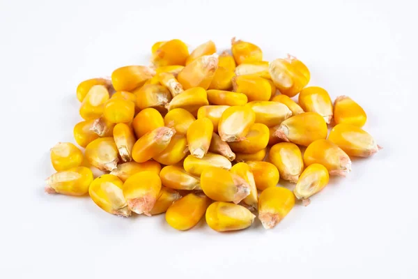 Семена Кукурузы Белом Фоне — стоковое фото