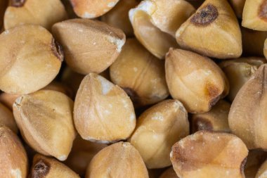 Görünür detayları olan karabuğday. extura veya arkaplan