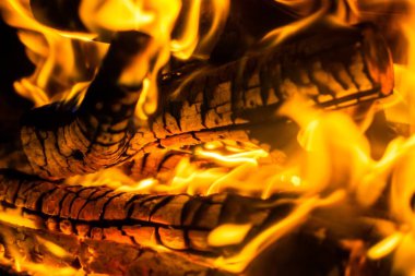 Ağacın alevi. Yanan ağaç.