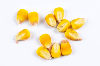 Beyaz arka planda sarı mısır tohumları