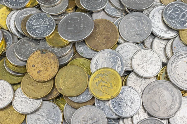 Πολωνικό Νόμισμα Μακροεντολή Φωτογραφία Textura Φόντο — Φωτογραφία Αρχείου