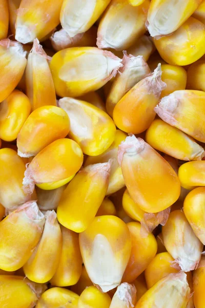 Gele Maïskorrels Met Zichtbare Details Achtergrond Textuur — Stockfoto