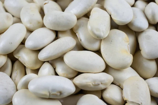 Grains White Beans Visible Details — Stock Photo, Image