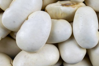 Beyaz fasulye taneleri görünür detaylarla