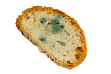 Beyaz arka planda küflü ekmek dilimi