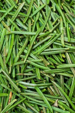 Yeşil ladin iğneleri görünür detaylar içeriyor. arkaplan veya doku