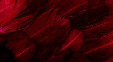 görünür detaylara sahip mor tüyler. arkaplan veya doku