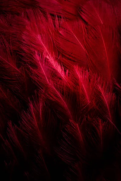 görünür detaylara sahip mor tüyler. arkaplan veya doku