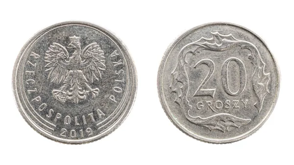 Moneda Groszy Sobre Fondo Blanco Aislado — Foto de Stock