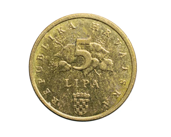 Fem Kroatiska Lipa Mynt Isolerad Vit Bakgrund — Stockfoto