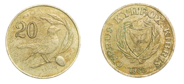 Tjugo Cyprus Guld Cent Mynt Vit Isolerad Bakgrund — Stockfoto