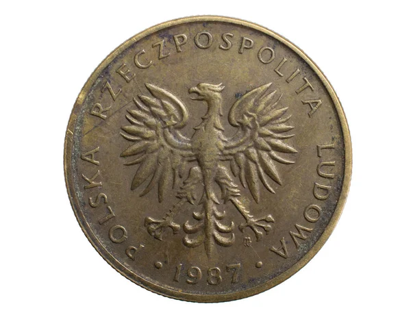 白い隔離された背景に5つのポーランドのズロチコイン — ストック写真