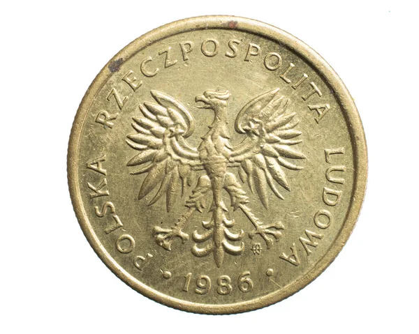 Две Польские Злотые Монеты Белом Изолированном Фоне — стоковое фото