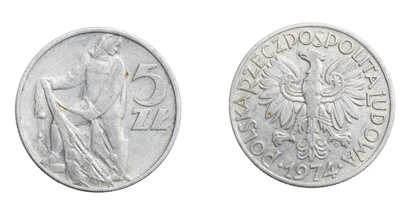 白い隔離された背景に5つのポーランドのズロチコイン — ストック写真