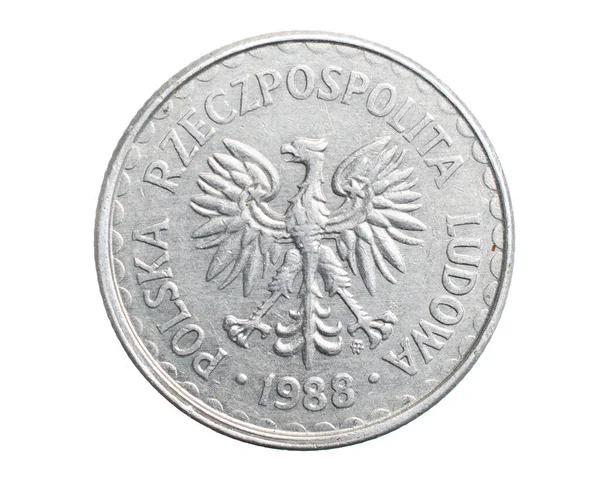 Uma Moeda Zloty Polonesa Fundo Isolado Branco — Fotografia de Stock