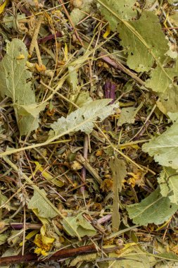 Bitkisel karışım makro shot. doku veya arkaplan