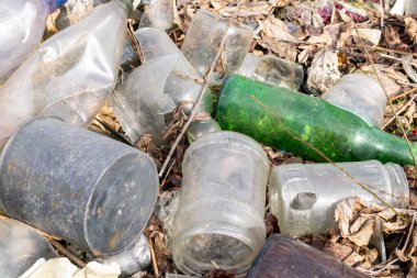 Vahşi çöp yığını. Kalan camlar, ormandaki plastikler.