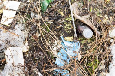 Vahşi çöp yığını. Kalan camlar, ormandaki plastikler.