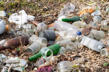 Vahşi çöp yığını. Kalan camlar, ormandaki plastikler.
