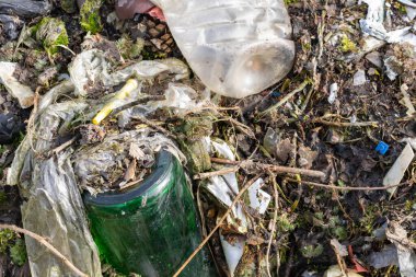 Vahşi çöp yığını. Kalan camlar, ormandaki plastikler.