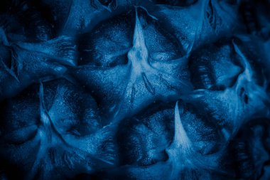 Mavi ananas kabuğu ve görünür detaylar. arkaplan