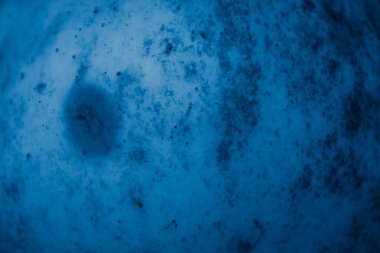 Mavi elma derisi ve görünür detaylar. arkaplan