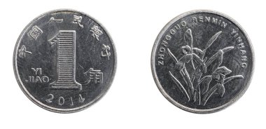 Çin porseleni beyaz izole arka planda bir jiao sikke