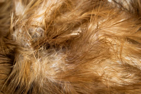 Macro Photo Brown Hen Feathers Background Textura — Stock Photo, Image