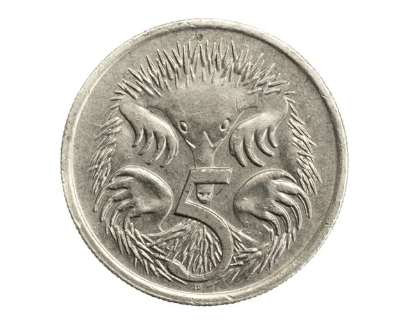 Australia Moneda Cinco Centavos Sobre Fondo Blanco Aislado — Foto de Stock