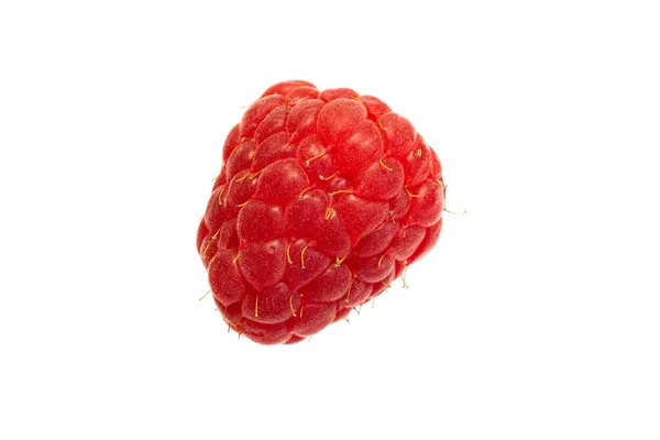 Red Raspberries White Isolated Background — Stock Photo, Image