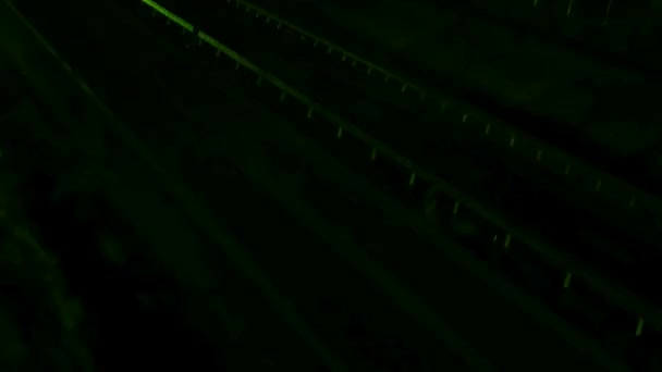 밤에는 녹색 자동차 불빛. 오랜 노출 — 비디오