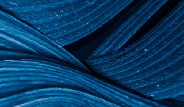 Синьо Чорне Пір Фон Або Текстура — стокове фото