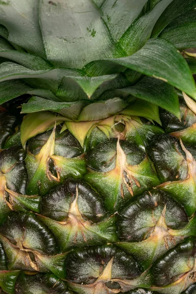 green pineapple peel with visible details. background